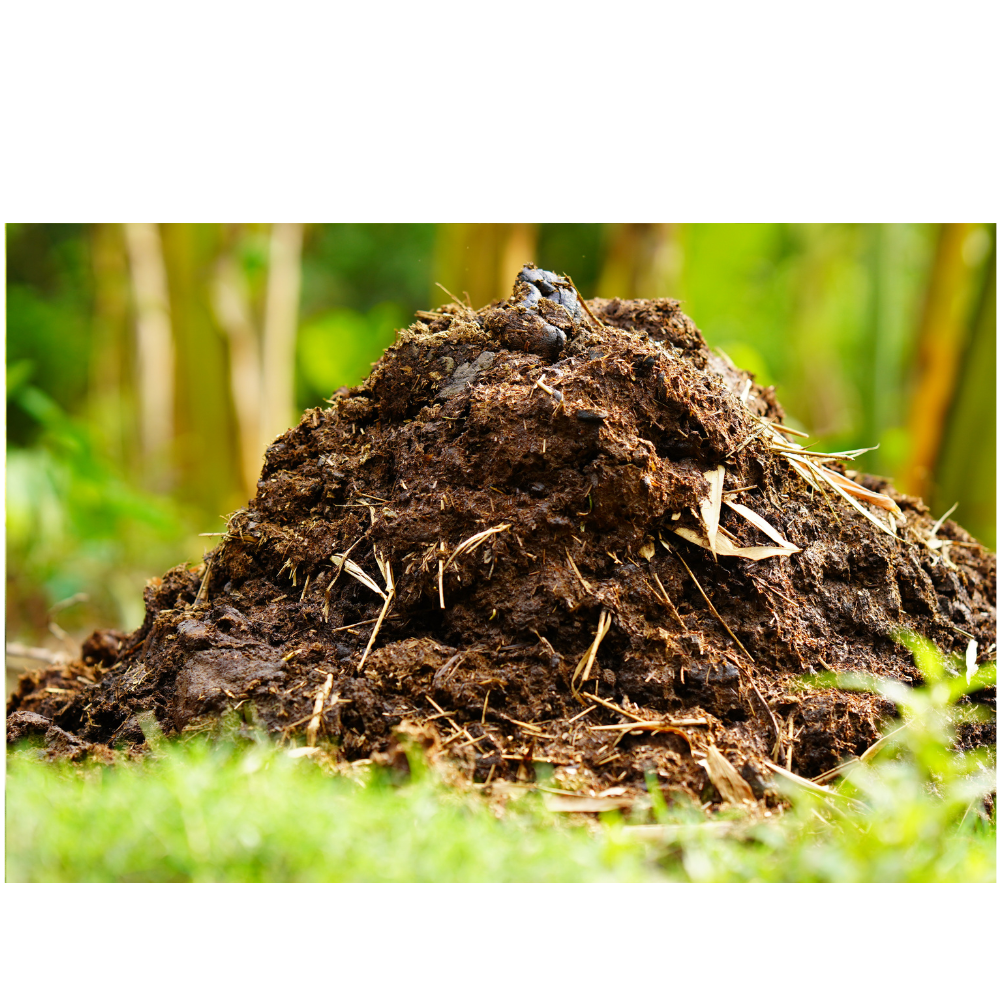 Přírodní hnojiva a postřiky