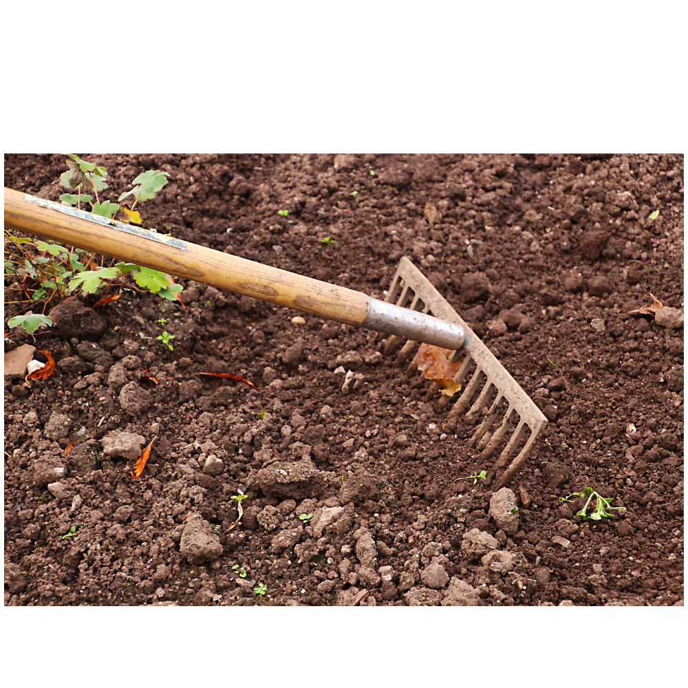 Péče o zahradu v průběhu roku